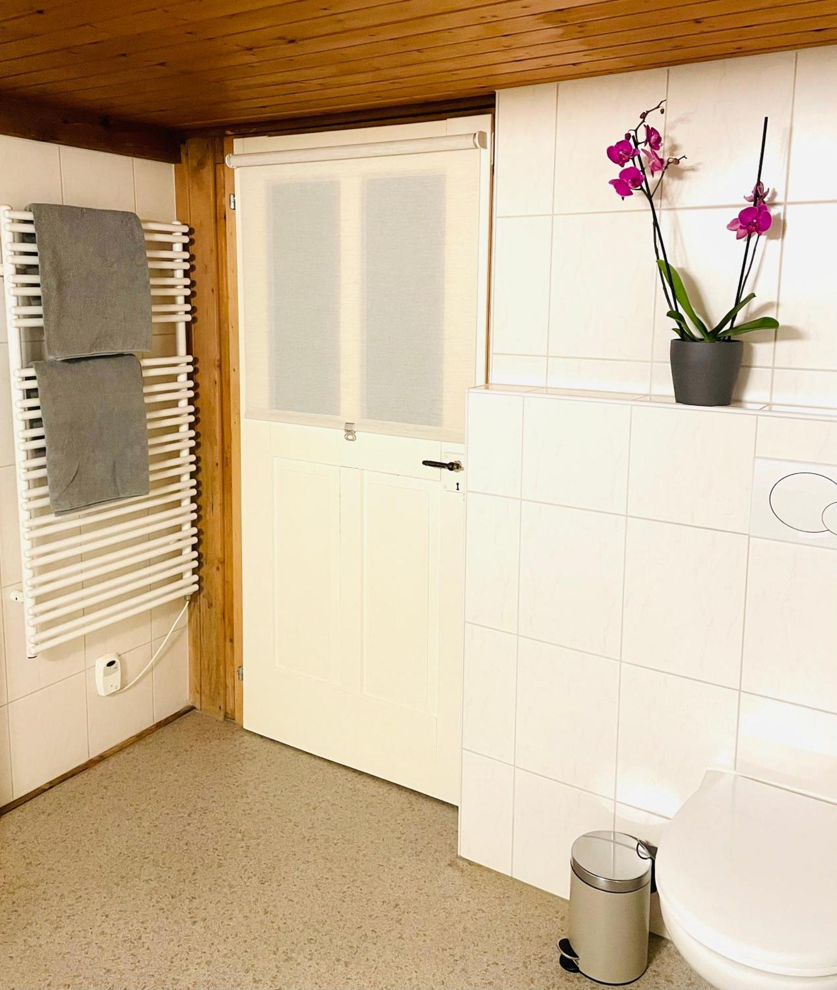 Lovely & Great Equipped Wooden Alp Chalet Flat Kandersteg Eksteriør billede